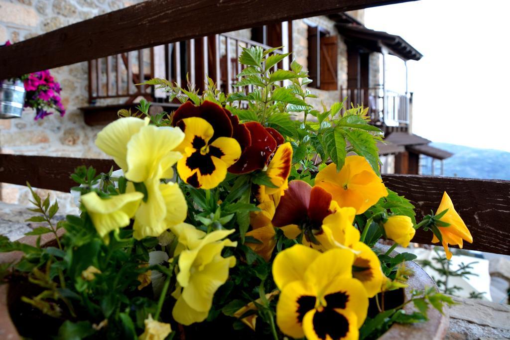Nymfes Guesthouse Synikia Mesi Trikalon Bilik gambar