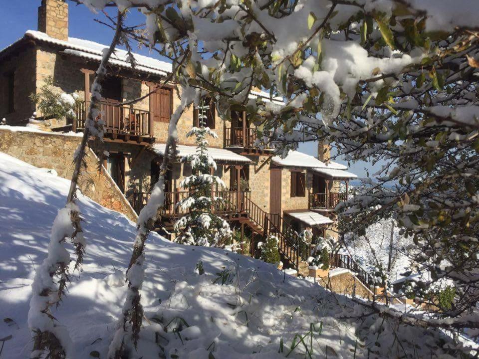 Nymfes Guesthouse Synikia Mesi Trikalon Luaran gambar
